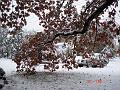 NJ_NY 229